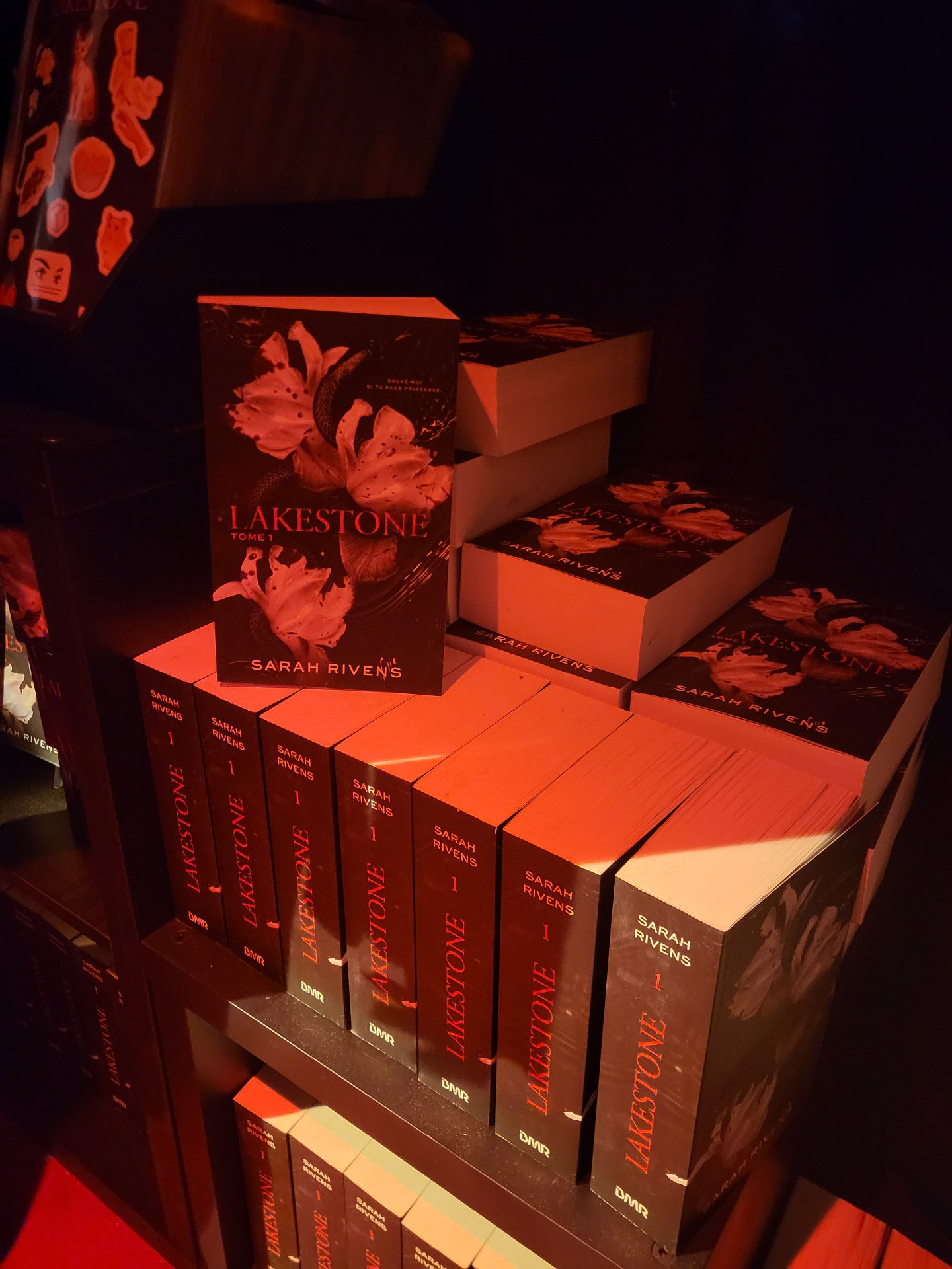 Exemplaires de Lakestone au pop-up. (Photo prise par Stefany Le Kernec).